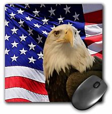 3dRose Bald Eagle and American Flag MousePad picture