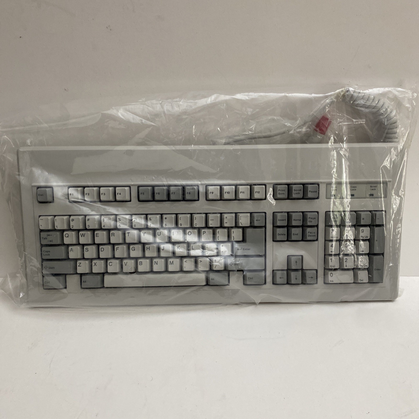 Vintage Philips P2813-015 Mechanical Clicky White Computer Keyboard NEW