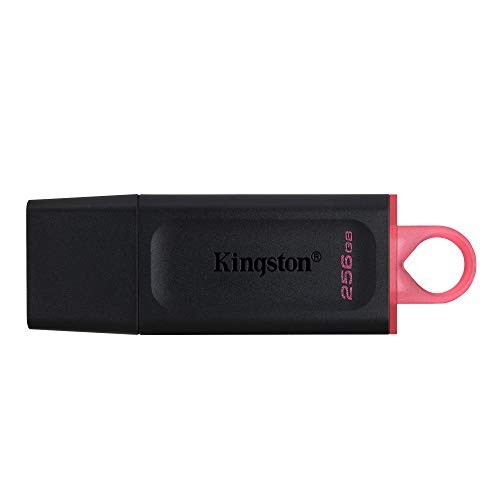 Kingston DataTraveler Exodia 256GB USB 3.2 (Gen 1) Flash Drive (DTX/256GB)